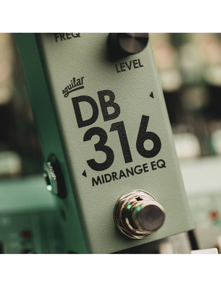 AGUILAR DB316 | MusicGoodDeal