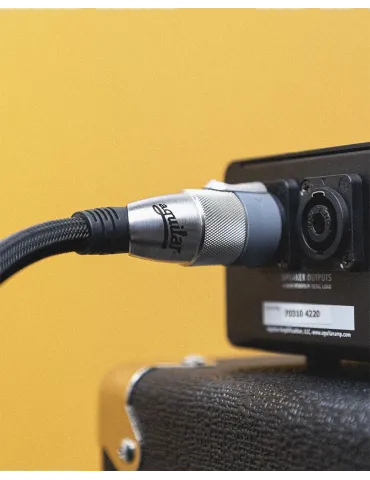 AGUILAR AGSPK6 | MusicGoodDeal 2