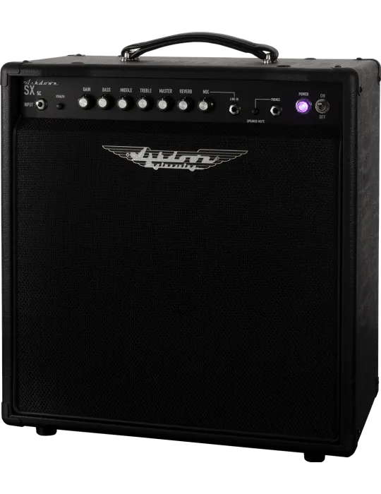 ASHDOWN SX-5C | MusicGoodDeal