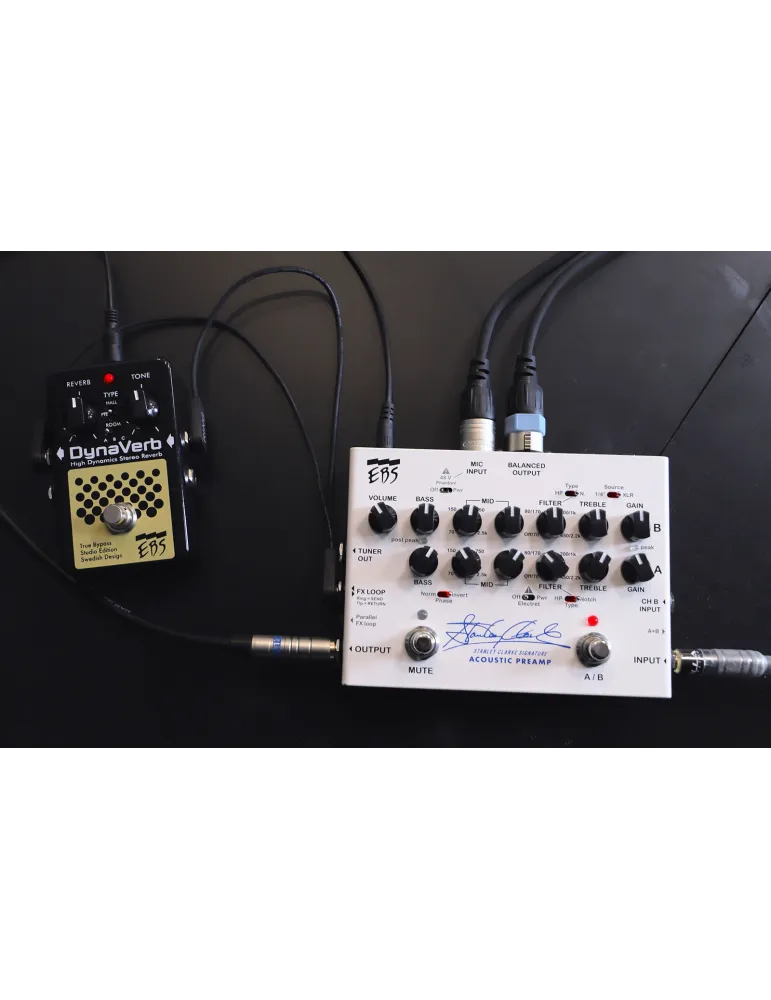 EBS STANLEY-PREAMP | MusicGoodDeal