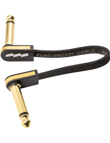 EBS PCF-PG10 | MusicGoodDeal