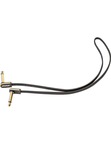 EBS PCF-PG58 | MusicGoodDeal