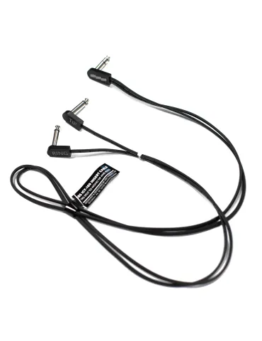 EBS ICY-100 | MusicGoodDeal