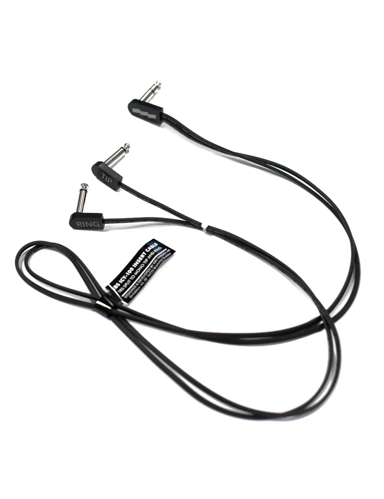 EBS ICY-100 | MusicGoodDeal