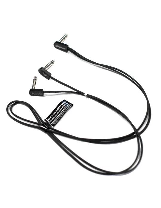 EBS ICY-100 | MusicGoodDeal