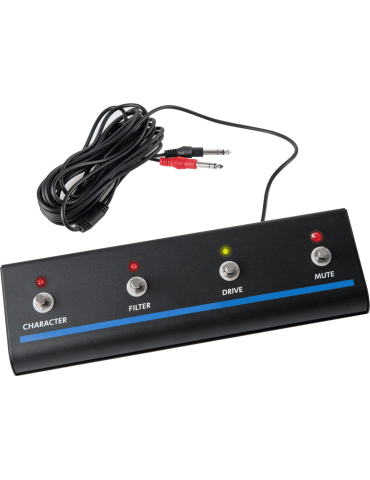 EBS RM-4 | MusicGoodDeal