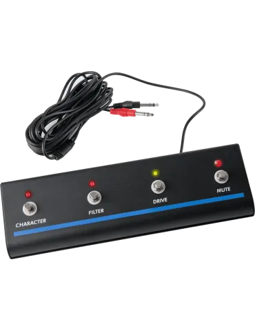 EBS RM-4 | MusicGoodDeal