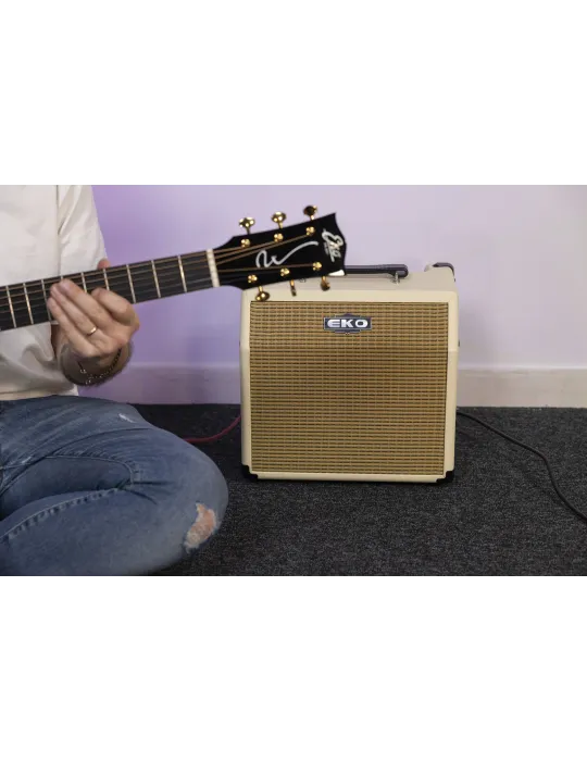 EKO AC15 | MusicGoodDeal