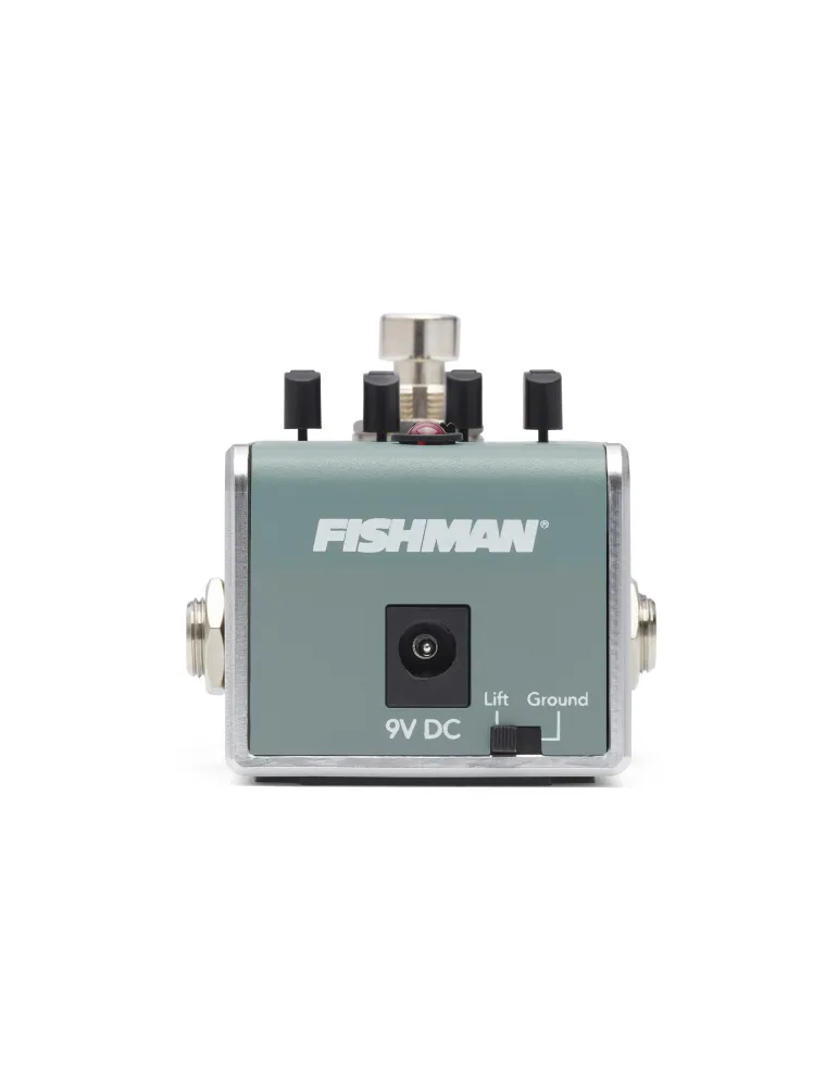 FISHMAN PRO-AFX-DI2 | MusicGoodDeal