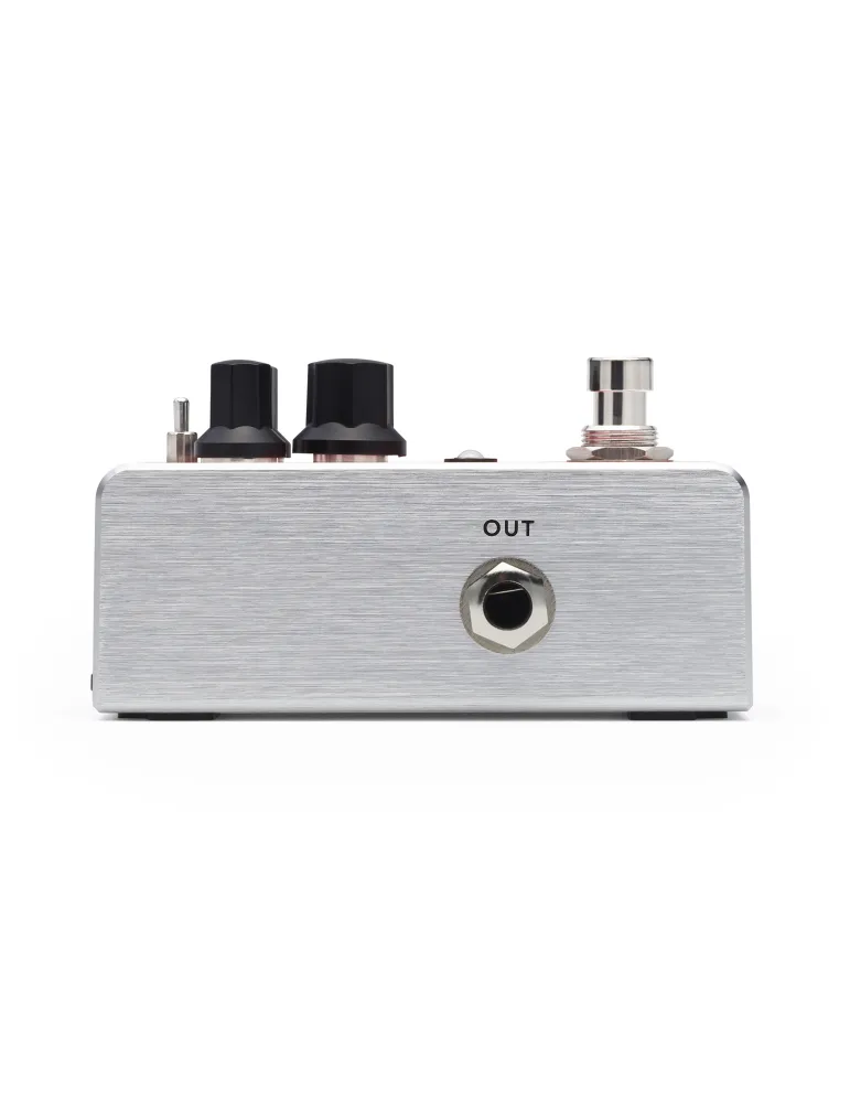 FISHMAN PRO-AFX-RV2 | MusicGoodDeal