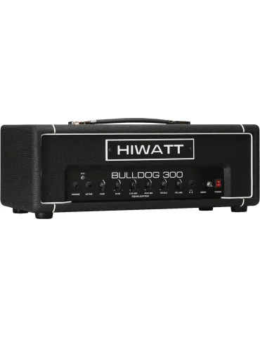 HIWATT BULLDOG-300H | MusicGoodDeal 2
