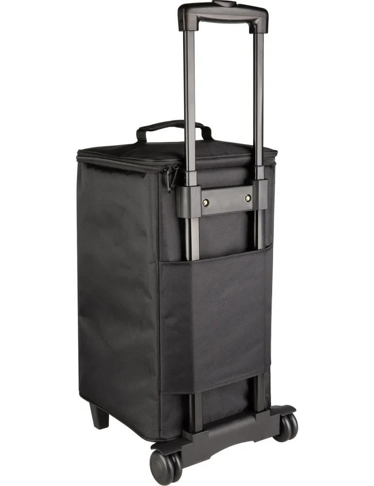 NUX NBA200FR-BAG | MusicGoodDeal