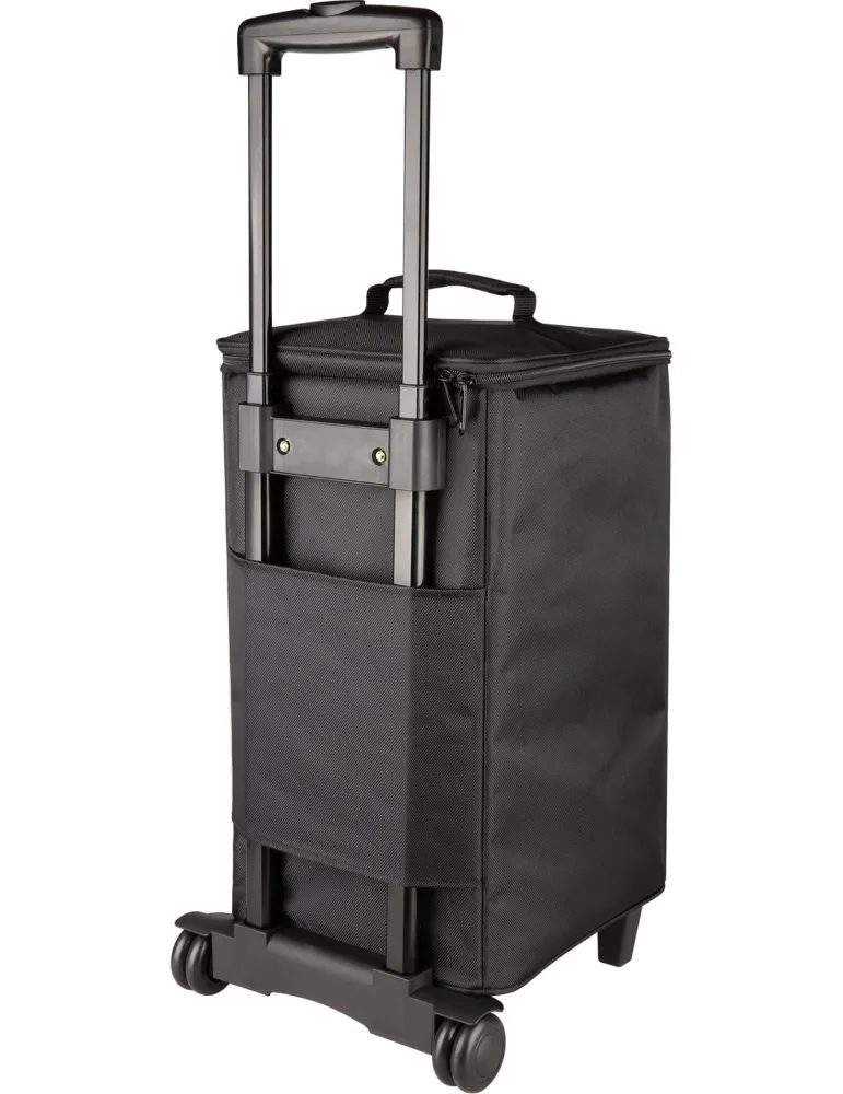 NUX NBA200FR-BAG | MusicGoodDeal