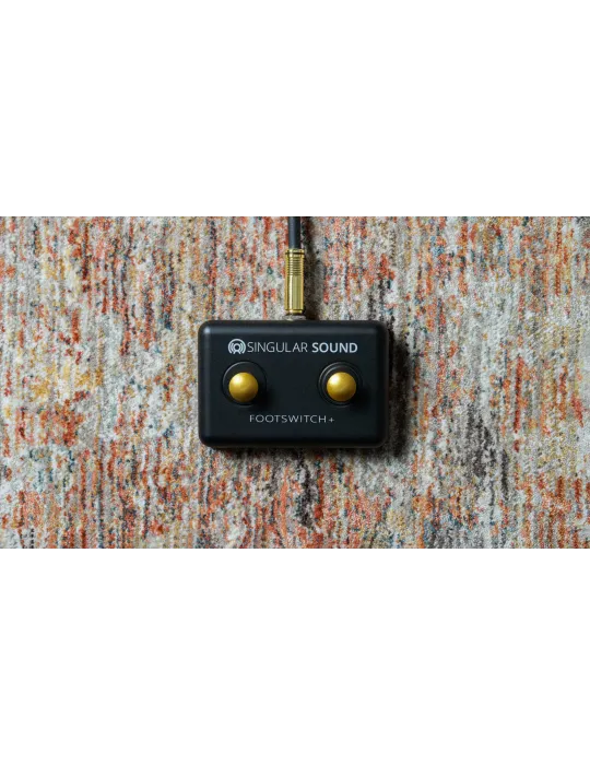SINGULAR SOUND FOOTSWITCH  | MusicGoodDeal