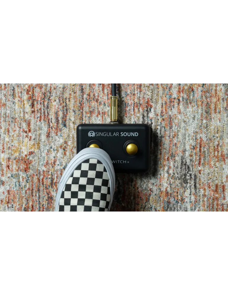 SINGULAR SOUND FOOTSWITCH  | MusicGoodDeal