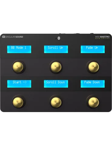 SINGULAR SOUND MIDI-MAESTRO-GOLD | MusicGoodDeal 2