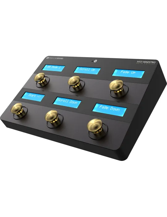 SINGULAR SOUND MIDI-MAESTRO-GOLD | MusicGoodDeal