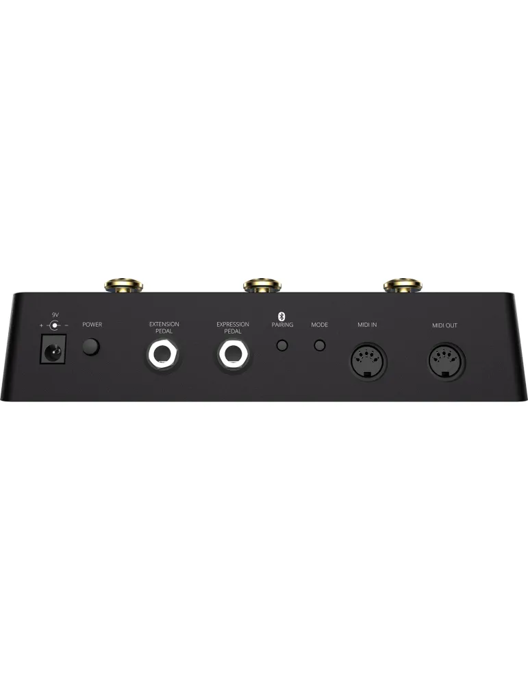 SINGULAR SOUND MIDI-MAESTRO-GOLD | MusicGoodDeal