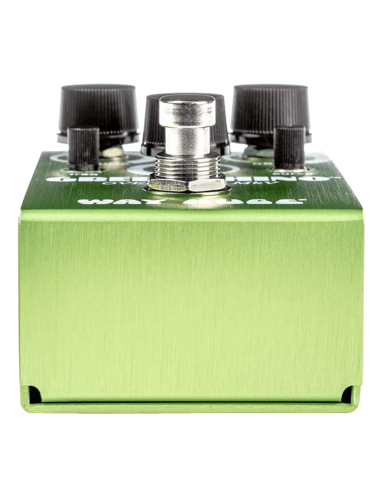  WAY HUGE WM22 Green Rhino Mini|MusicGoodDeal 