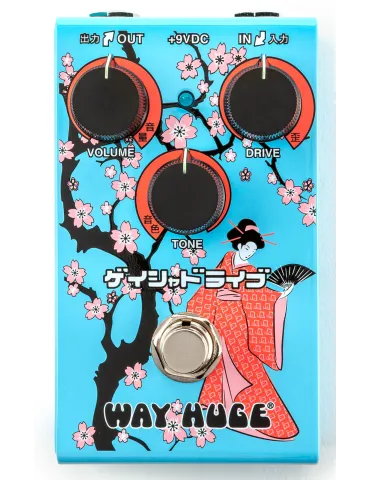 WAY HUGE WM32B | MusicGoodDeal