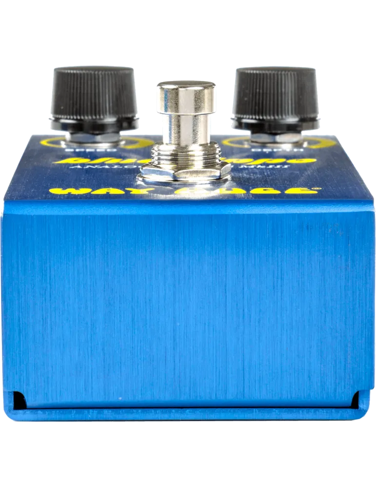  WAY HUGE WM61 Blue Hippo Mini|MusicGoodDeal 
