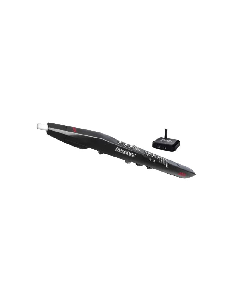  AKAI PROFESSIONAL EWI5000 Instruments - Wireless MIDI + sound module|MusicGoodDeal 