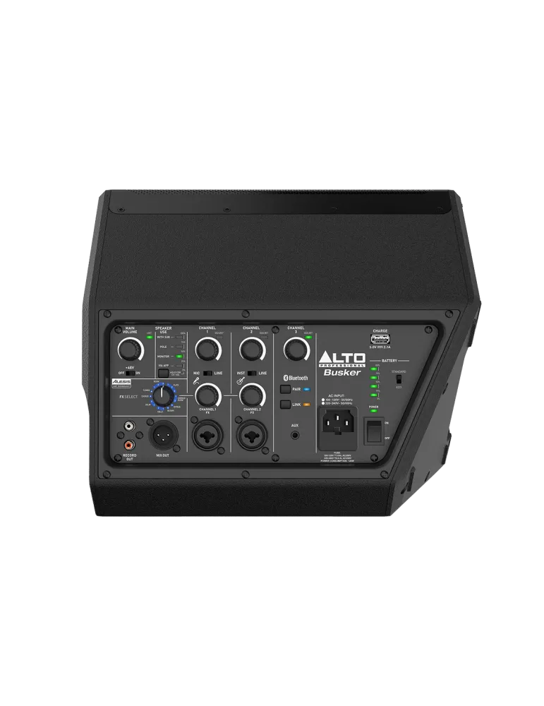ALTO PROFESSIONAL BUSKER | MusicGoodDeal