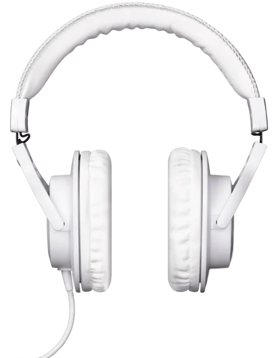ARTURIA MINIFUSE2-RP-WH | MusicGoodDeal