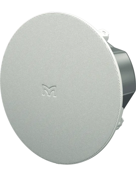  MARTIN AUDIO ACS-55TS Deckenleuchten - 5,25" 50W AES-Deckenleuchte mit geringer Tiefe|MusicGoodDeal 