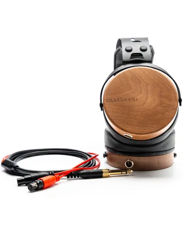 OLLO AUDIO R1 | MusicGoodDeal 2
