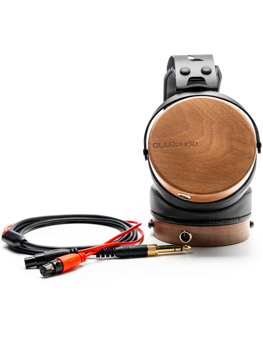 OLLO AUDIO R1 | MusicGoodDeal