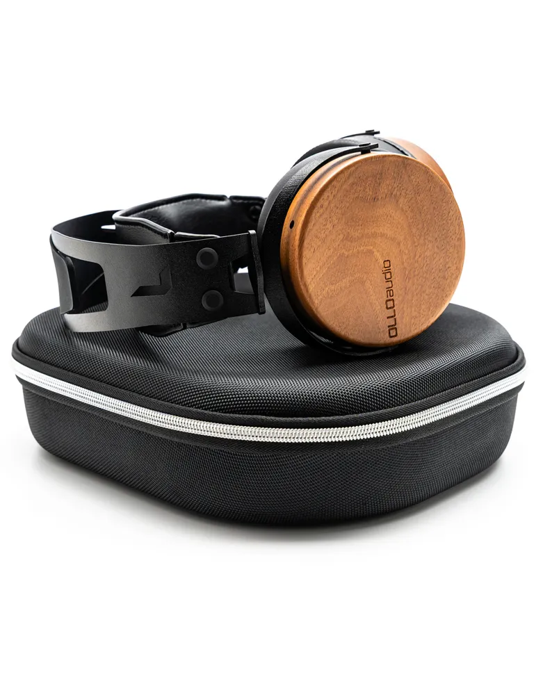OLLO AUDIO R1 | MusicGoodDeal