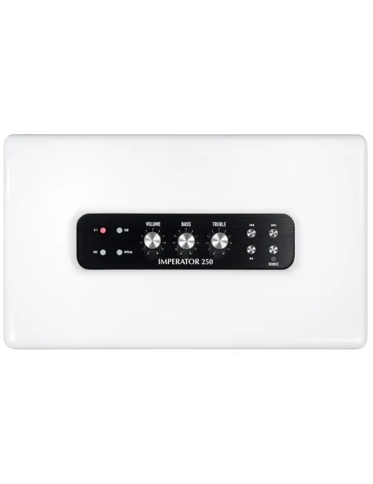PLEYEL AUDIO IMP250WHT | MusicGoodDeal