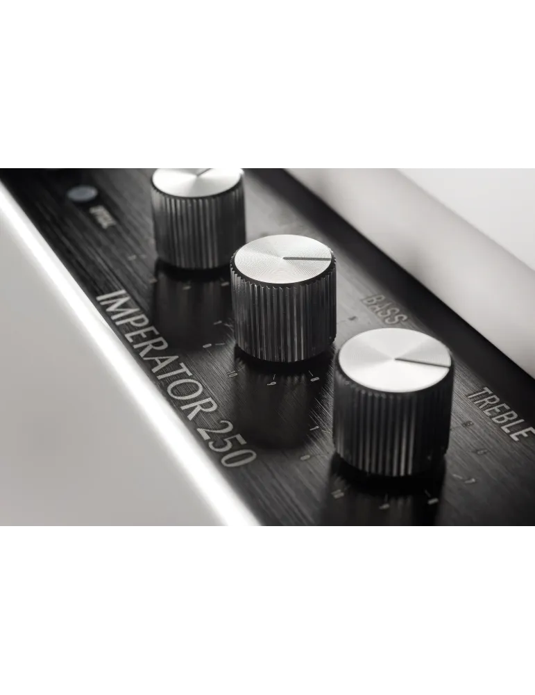 PLEYEL AUDIO IMP250WHT | MusicGoodDeal