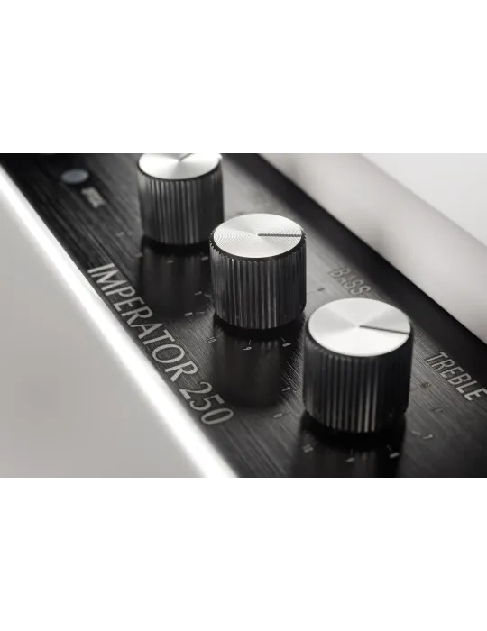 PLEYEL AUDIO IMP250WHT | MusicGoodDeal