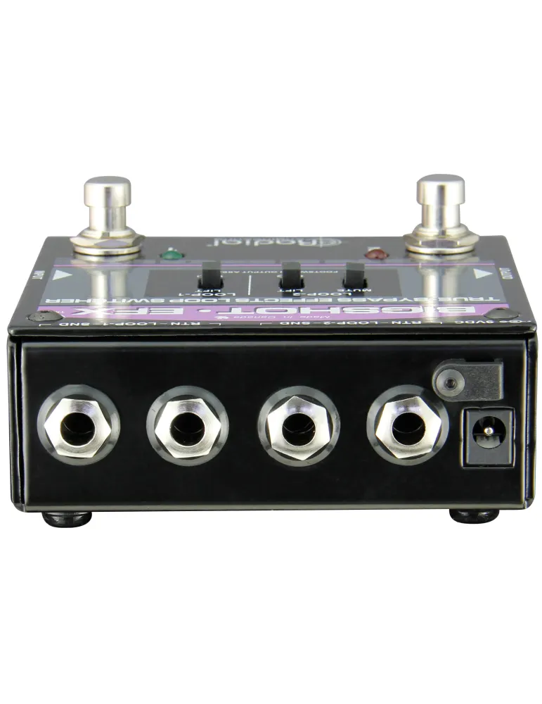  RADIAL ENGINEERING BIGSHOT-EFX Selektoren - Selektor 2 Effektschleifen|MusicGoodDeal 