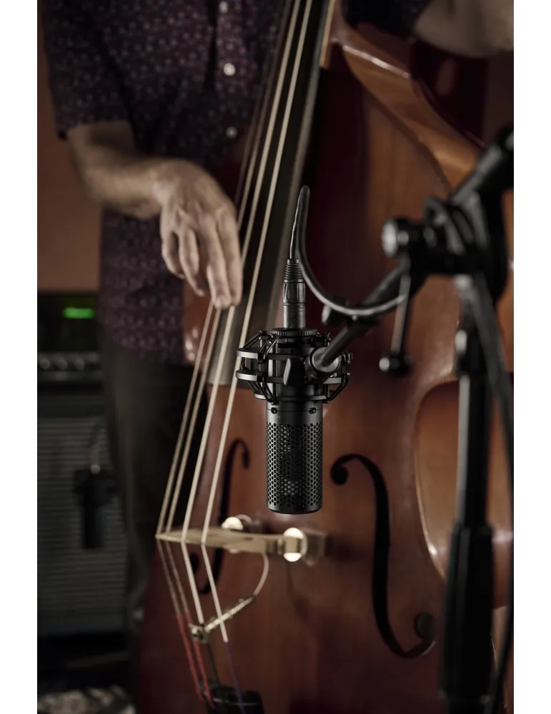 SHURE KSM44MP | MusicGoodDeal