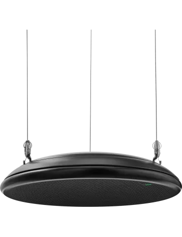 SHURE A901B-R-GM | MusicGoodDeal 2