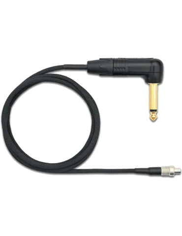 SHURE WA309 | MusicGoodDeal