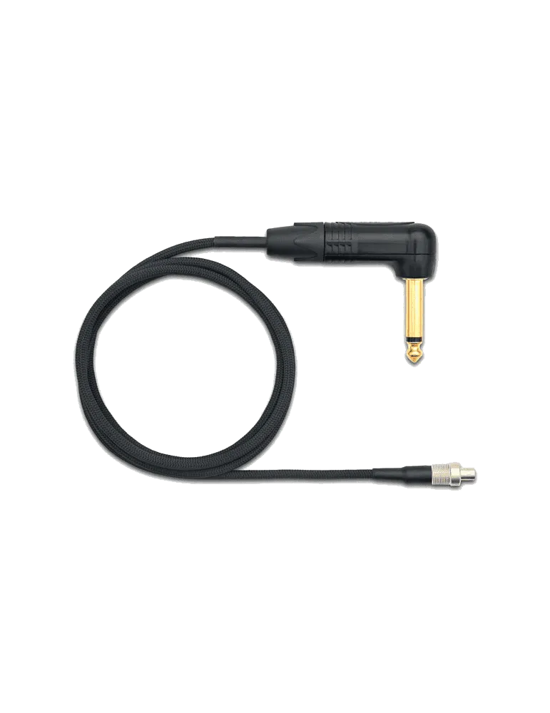 SHURE WA309 | MusicGoodDeal