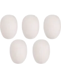 737b6b8033e351b685d35dcdc0a5cfd9