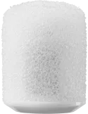 8c452e6c275b421e7769461fe9b7a0ff