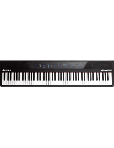 ALESIS CONCERT | MusicGoodDeal 2