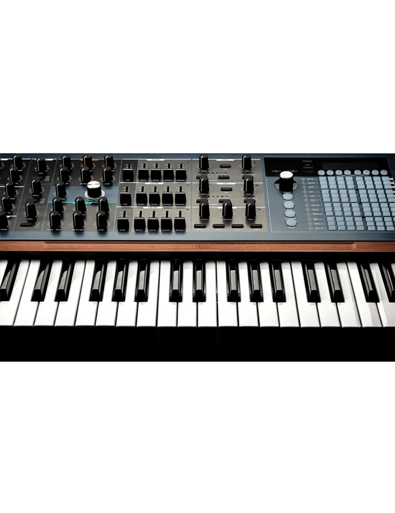 Arturia POLYBRUTE Brute Keyboard-Synthesizer |MusicGoodDeal