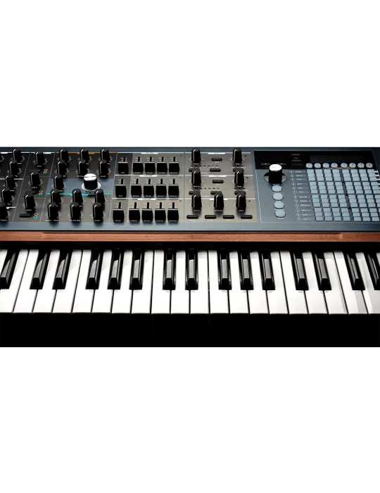 Arturia POLYBRUTE Brute Keyboard-Synthesizer |MusicGoodDeal