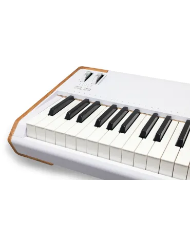 ARTURIA ASTROLAB-88-WH | MusicGoodDeal