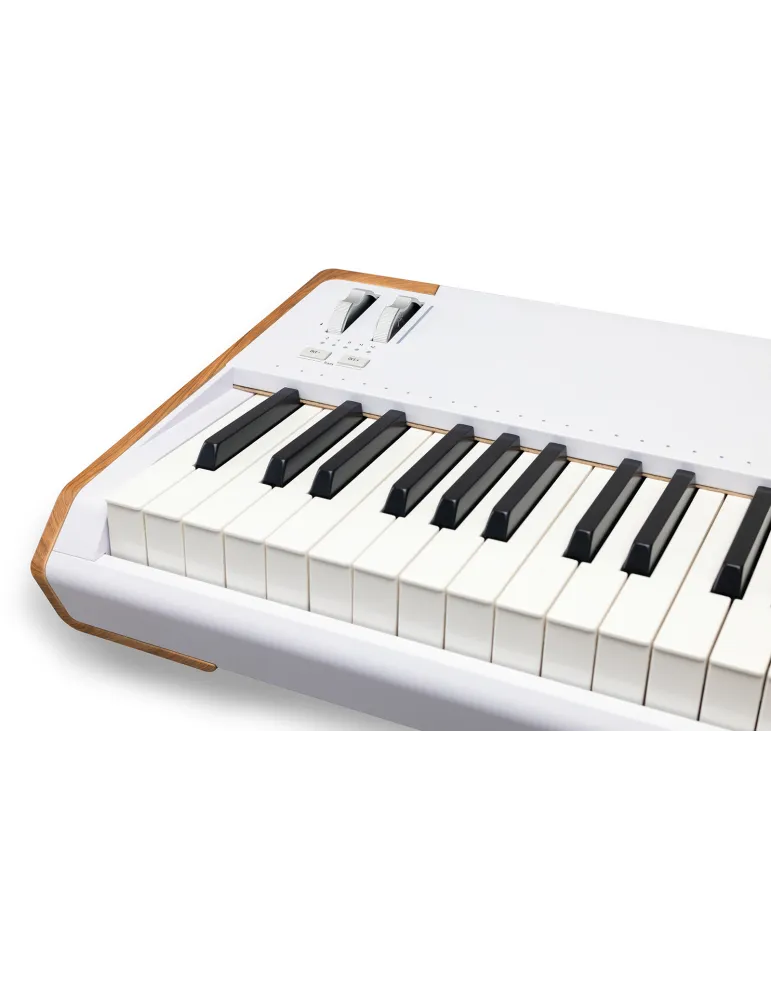 ARTURIA ASTROLAB-88-WH | MusicGoodDeal
