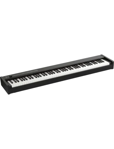 KORG D1 | MusicGoodDeal