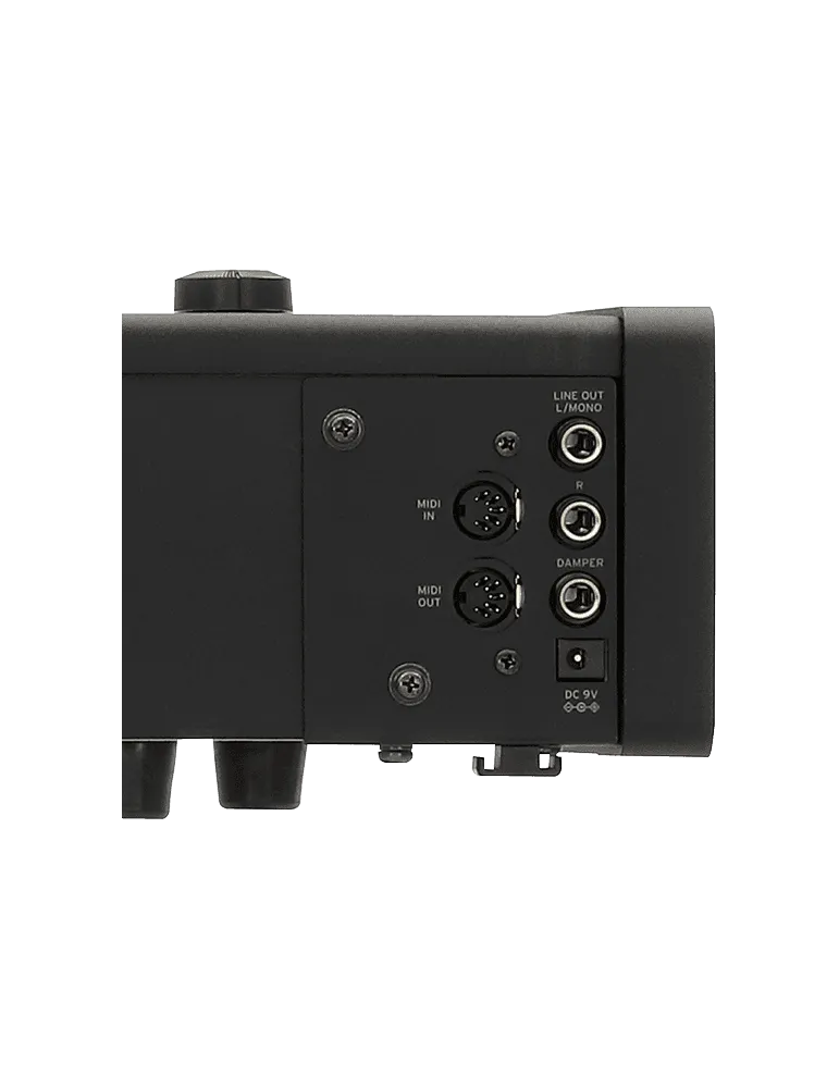 KORG D1 | MusicGoodDeal