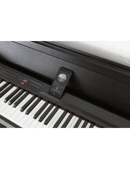 KORG C1-AIR-BR | MusicGoodDeal